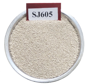 SJ605